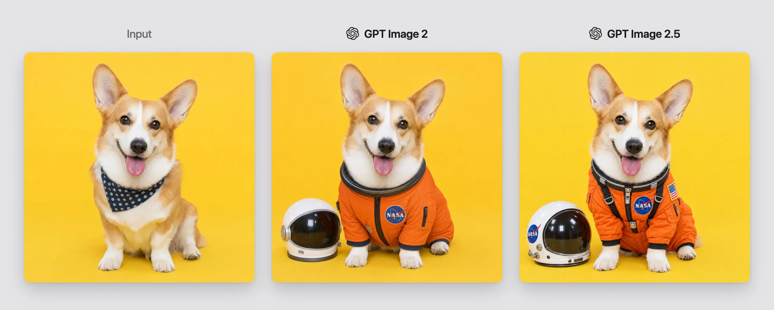 Input photo of a corgi compared with GPT Image 2 and GPT Image 2.5 astronaut costume edits.