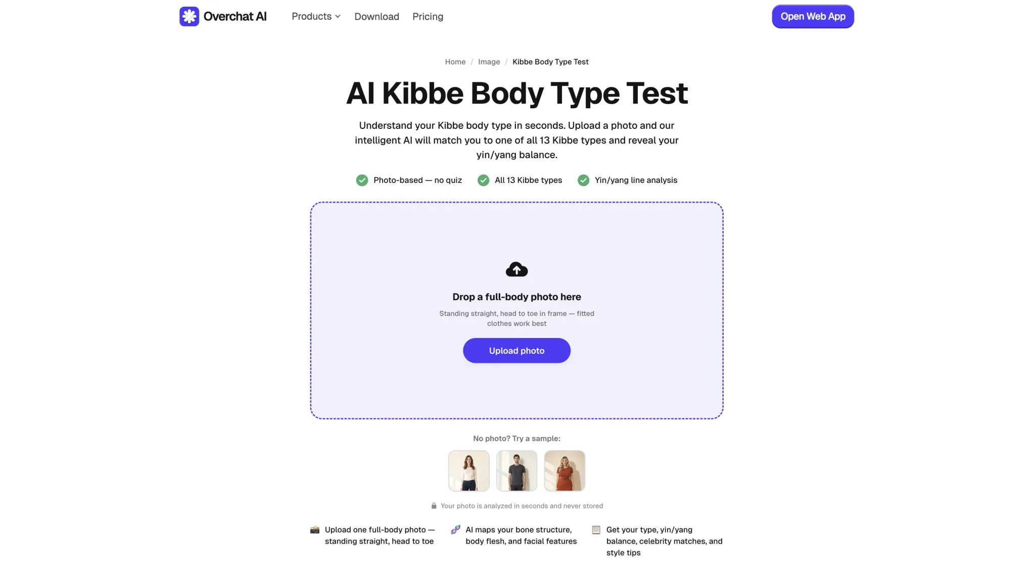Overchat AI Kibbe Body Type Test upload screen