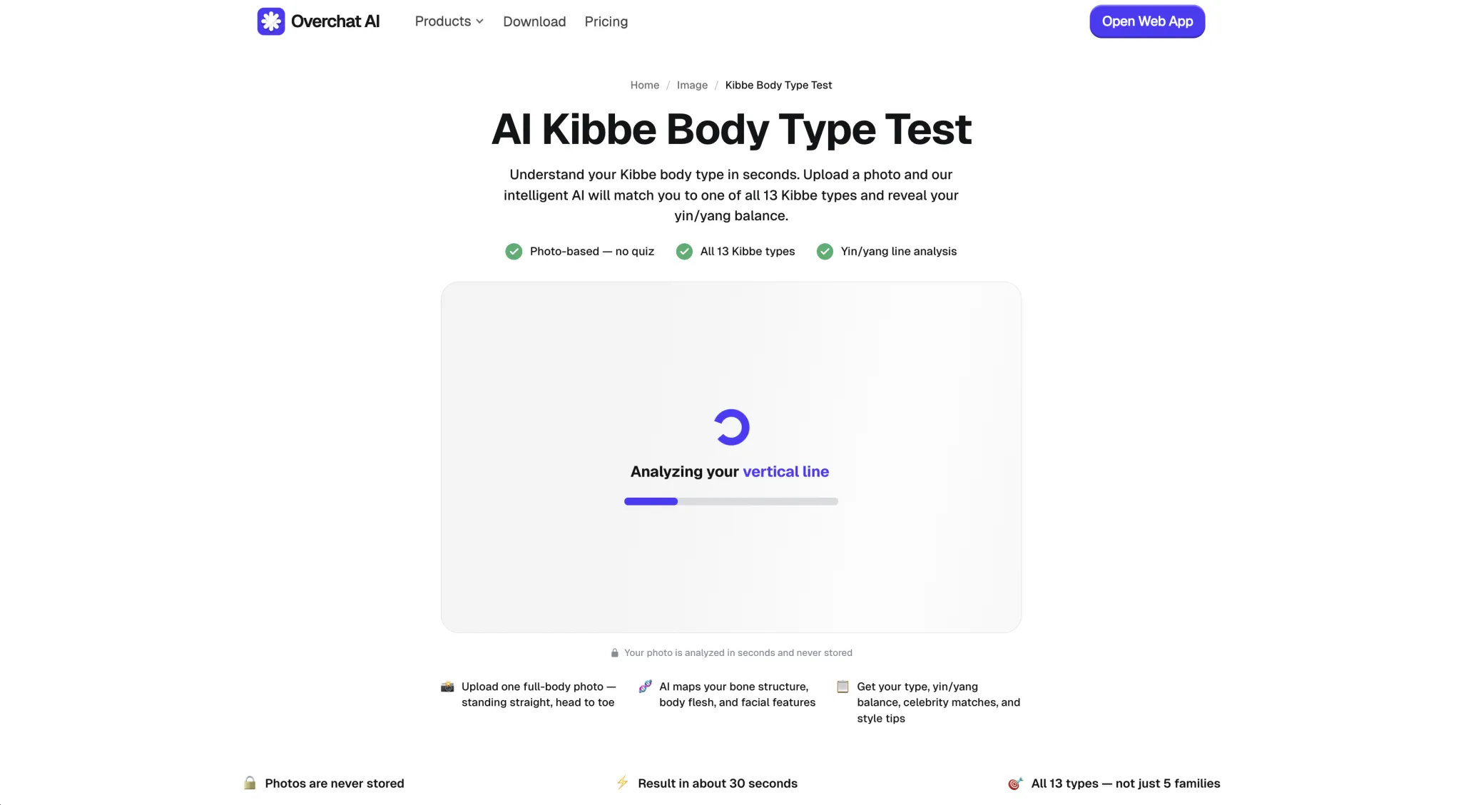 Overchat AI analyzing a vertical line for a Kibbe body type result
