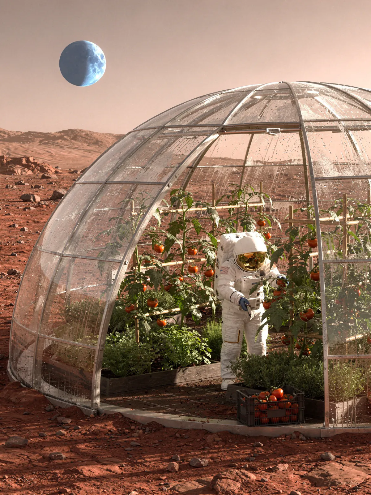Result of the Greenhouse on Mars prompt, made with Flux 2 Max