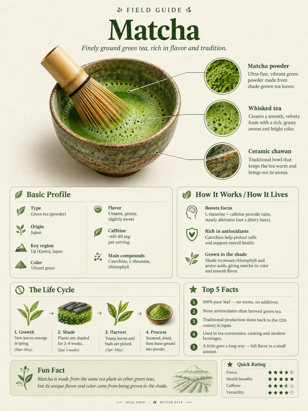 Result of the Encyclopedia knowledge card prompt: encyclopedia-style knowledge card about matcha green tea with a bowl of matcha, detail circles and fact panels