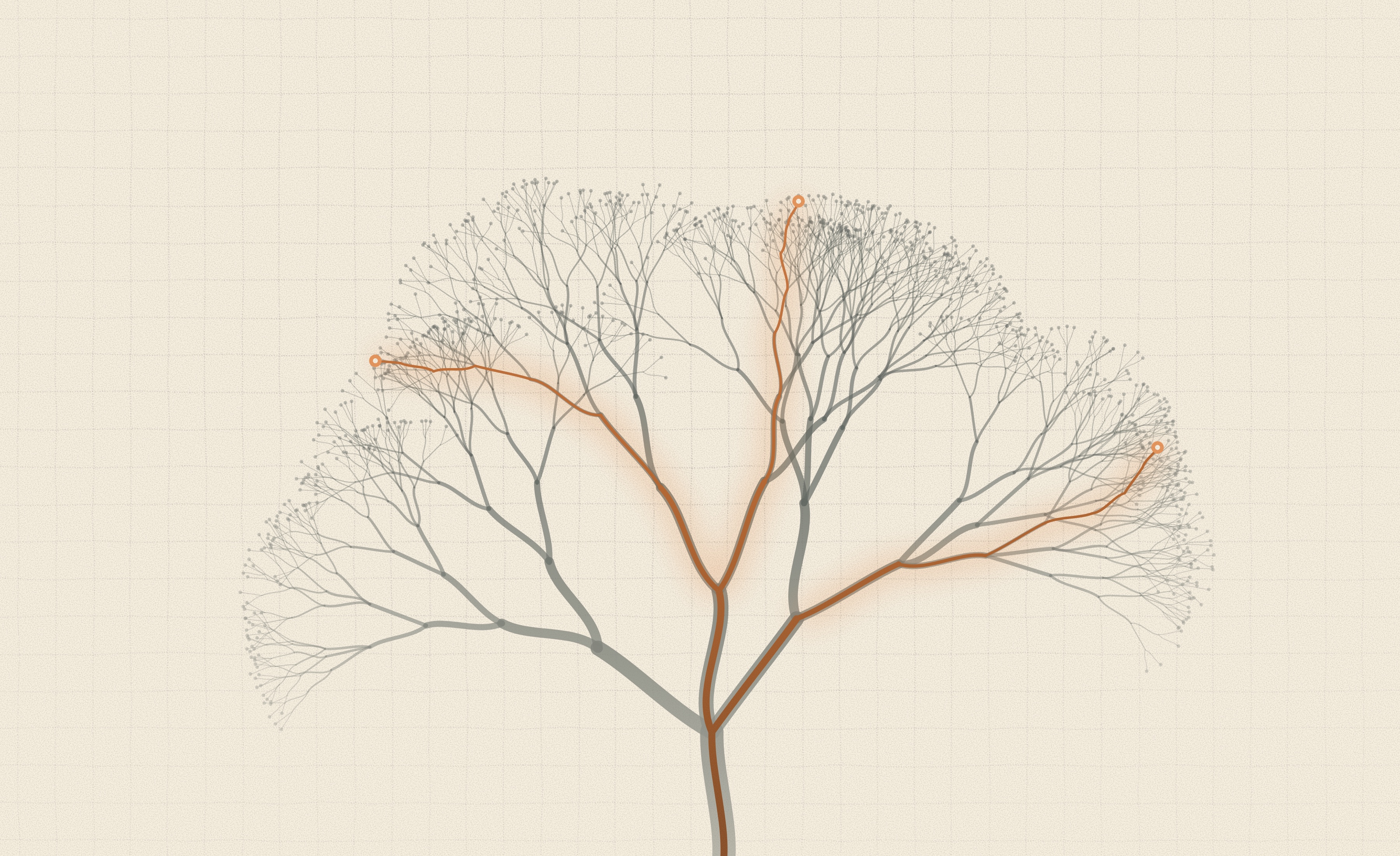 Branching paths illustrating the many possible behaviors of a model and the narrow paths covered by evaluations.