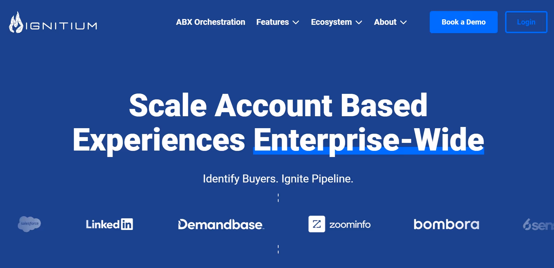 ignitium abm agency for saas