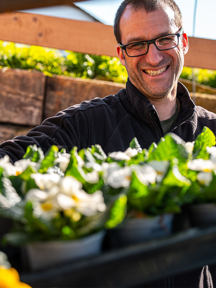 Gelbe Balkonpflanzen