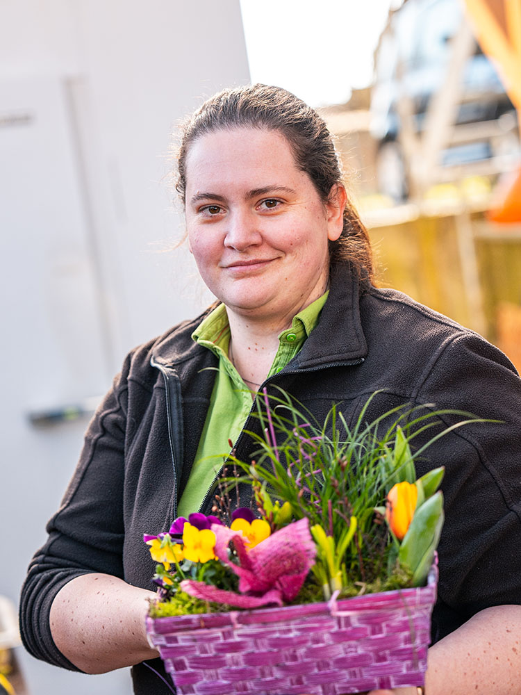 Gelbe Balkonpflanzen