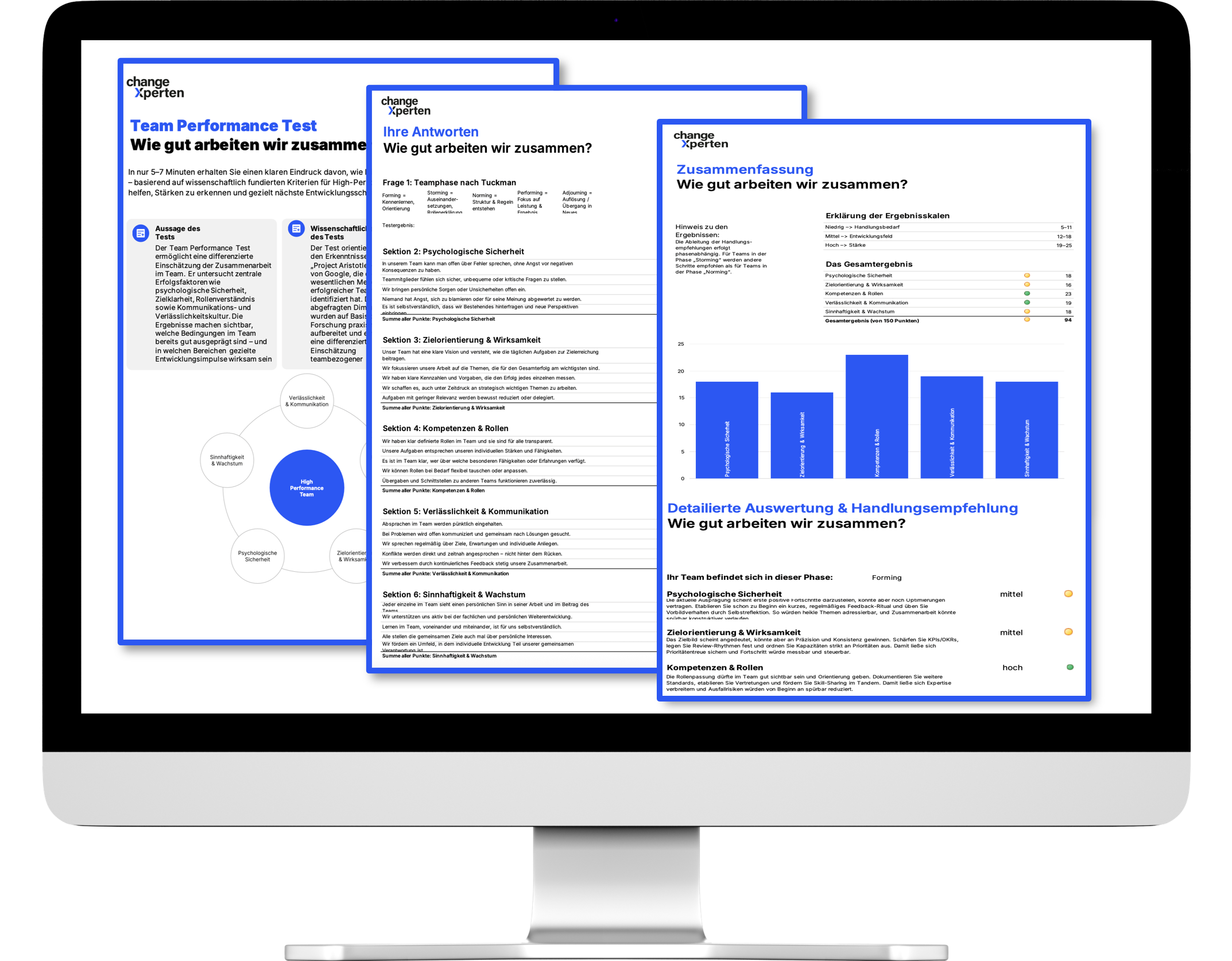 Team Assessment Ergebnisse auf Bildschirm mit Auswertung und Empfehlungen