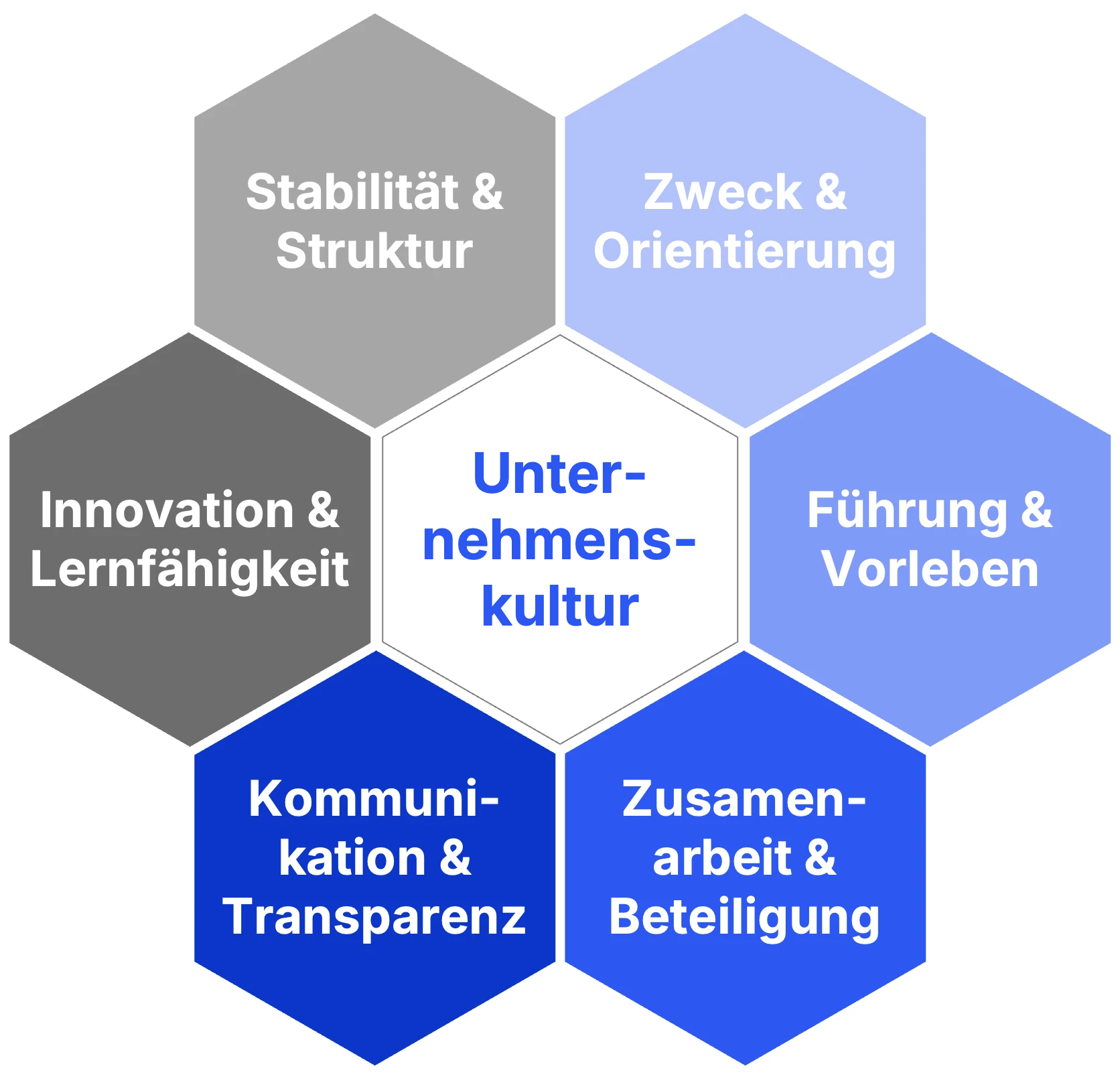 6 Dimensionen des Kultur-Tests