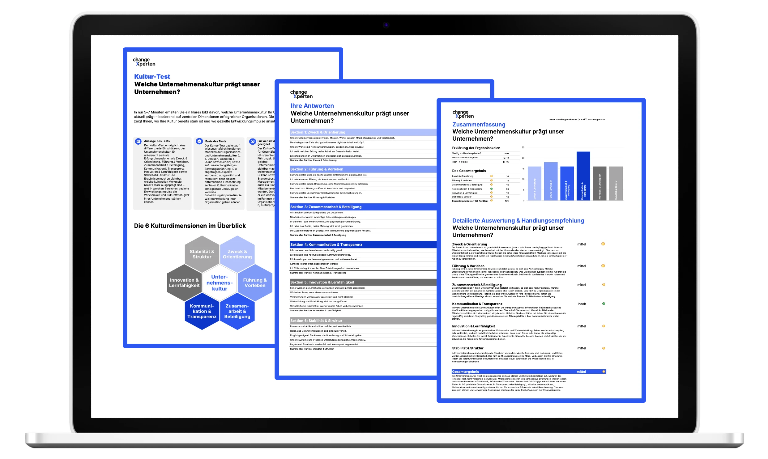 Kultur Test Ergebnisse auf Bildschirm mit Auswertung und Empfehlungen