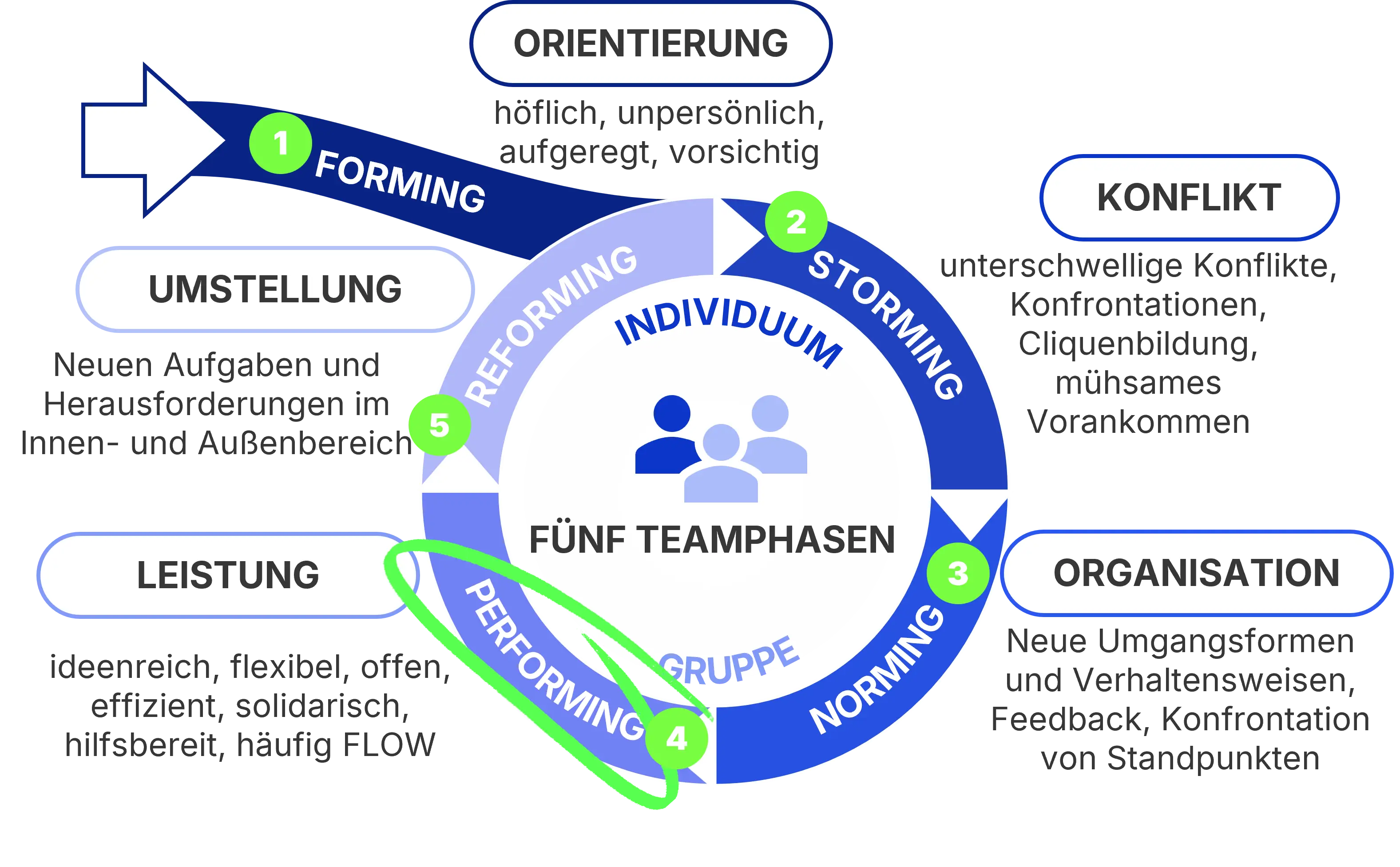 Die 5 Teamphasen nach Tuckman als Grundlage für ein Teamcoaching
