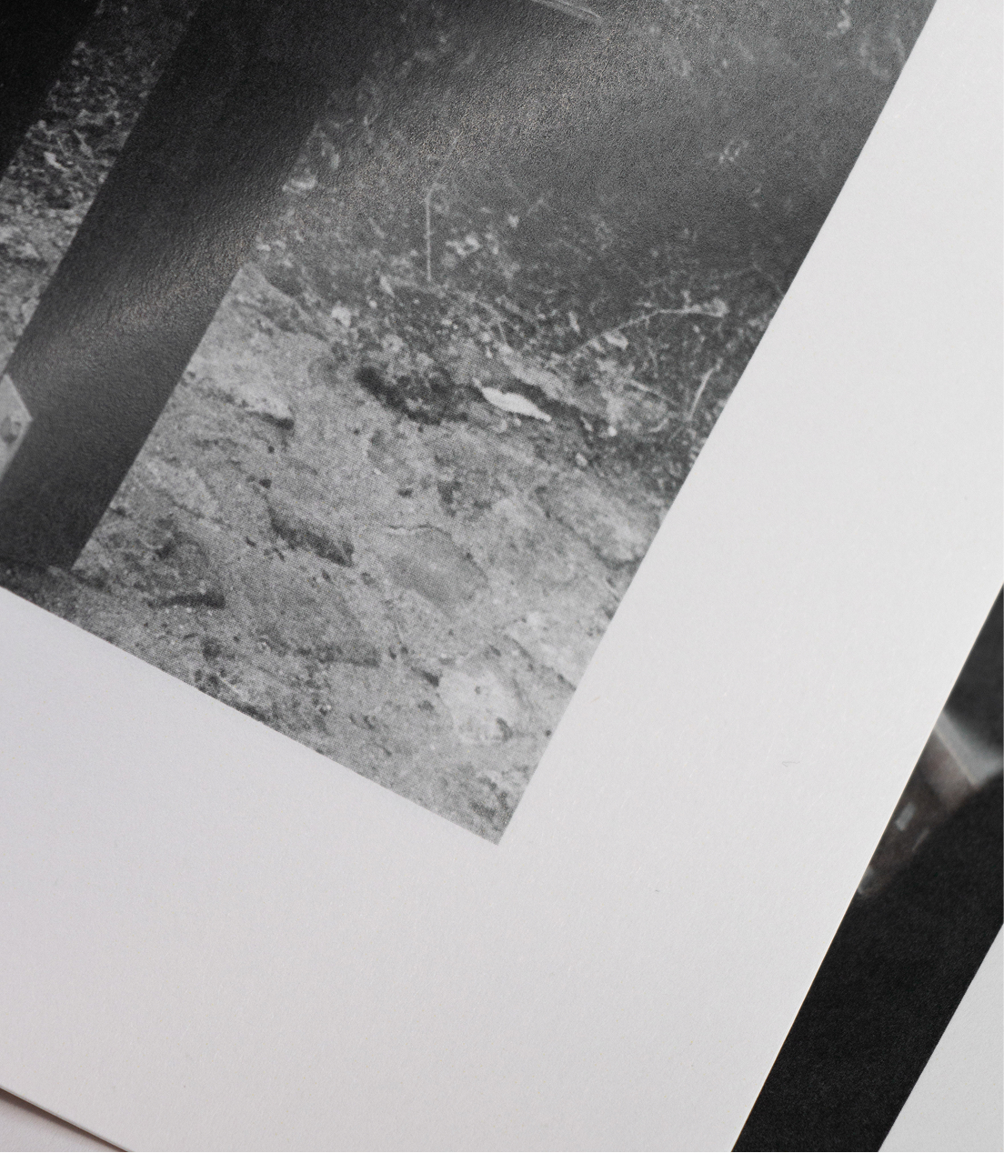 Shana Mauricio Design Portfolio Immer noch Licht