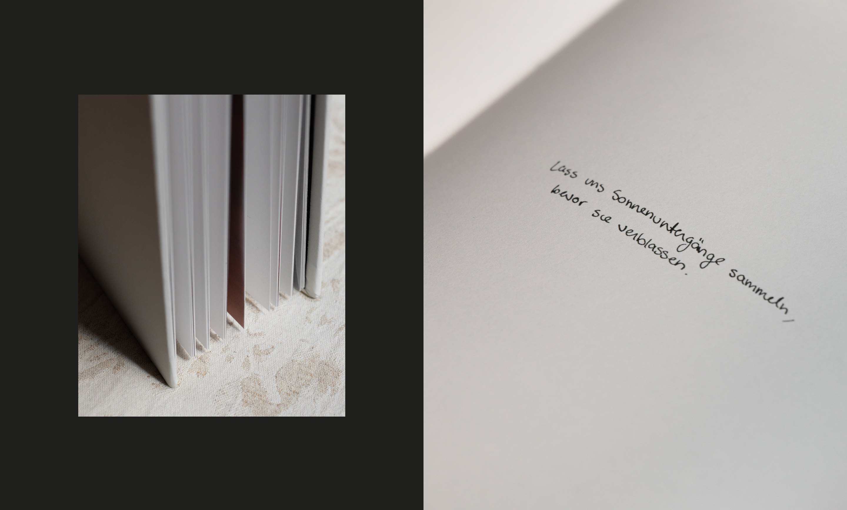 Shana Mauricio Design Portfolio Immer noch Licht