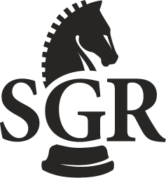 Strategic Government Resources