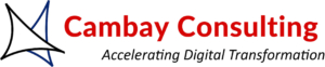 Cambay Consulting