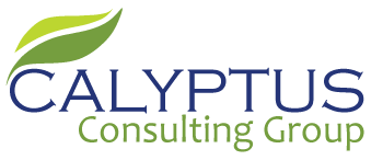 Calyptus Consulting Services
