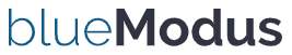 BlueModus, Inc