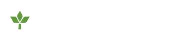City Of Dallas