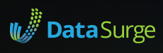 Data Surge LLC