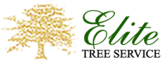 Elite Tree Service, LLC