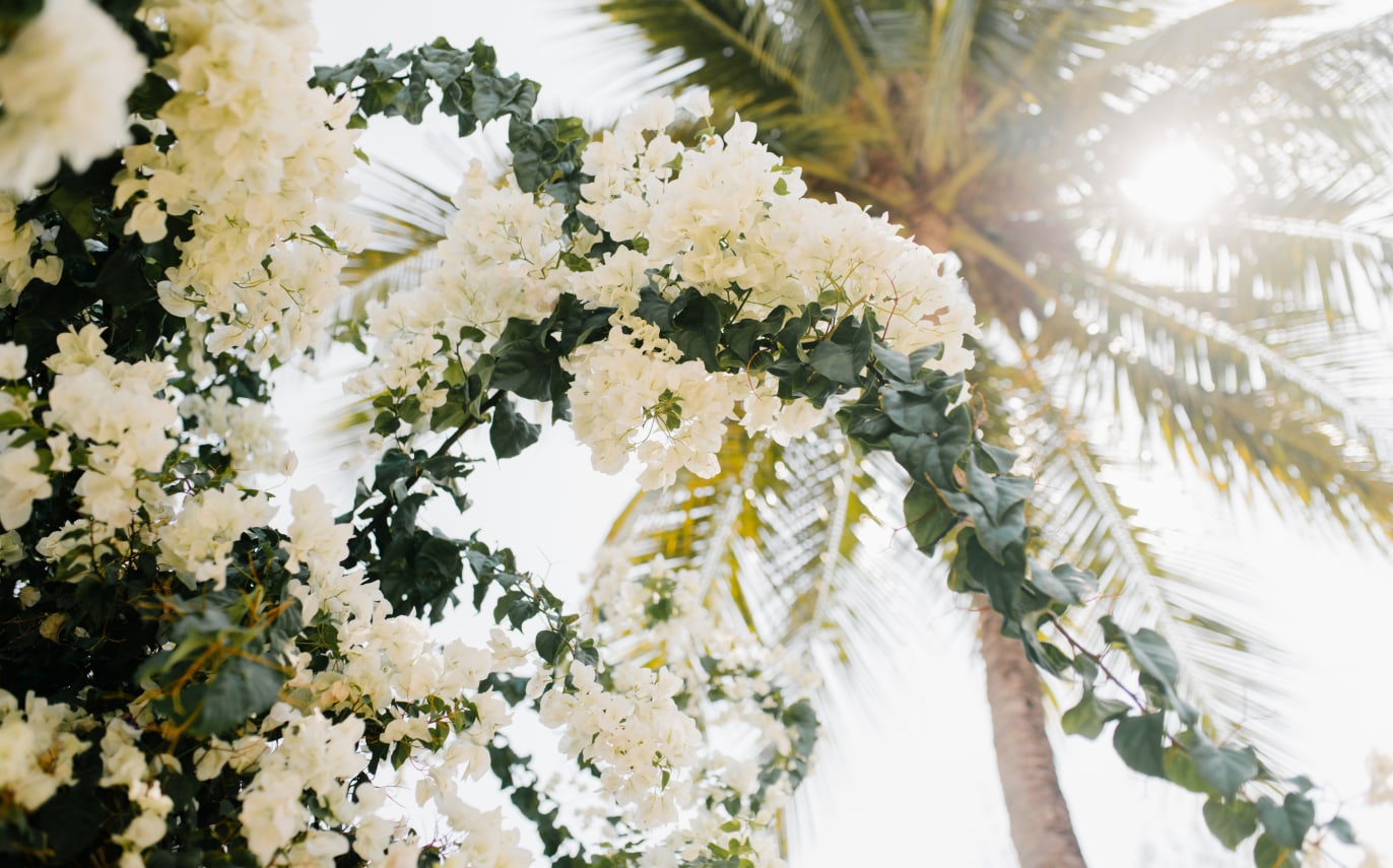 What does a full service wedding planner do?