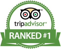 TripAdvisor Rank 1
