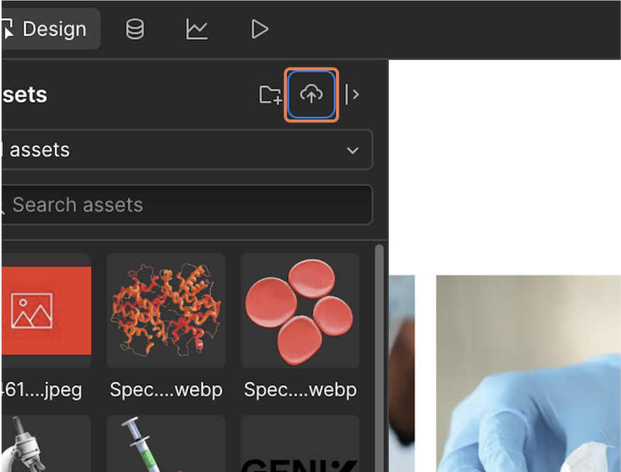 Webflow Assets panel with the upload button highlighted. Select an image from the upload menu to replace the placeholder image in your Webflow template.