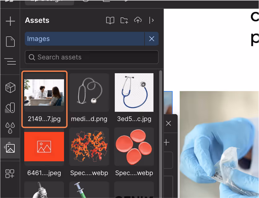 Webflow Assets panel with an image selected. Click on the image you want to use to replace the placeholder in your Webflow template.