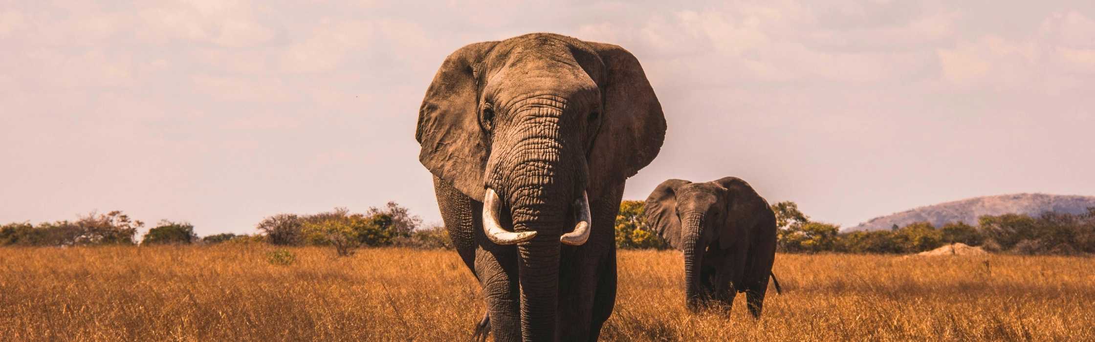 Botswana