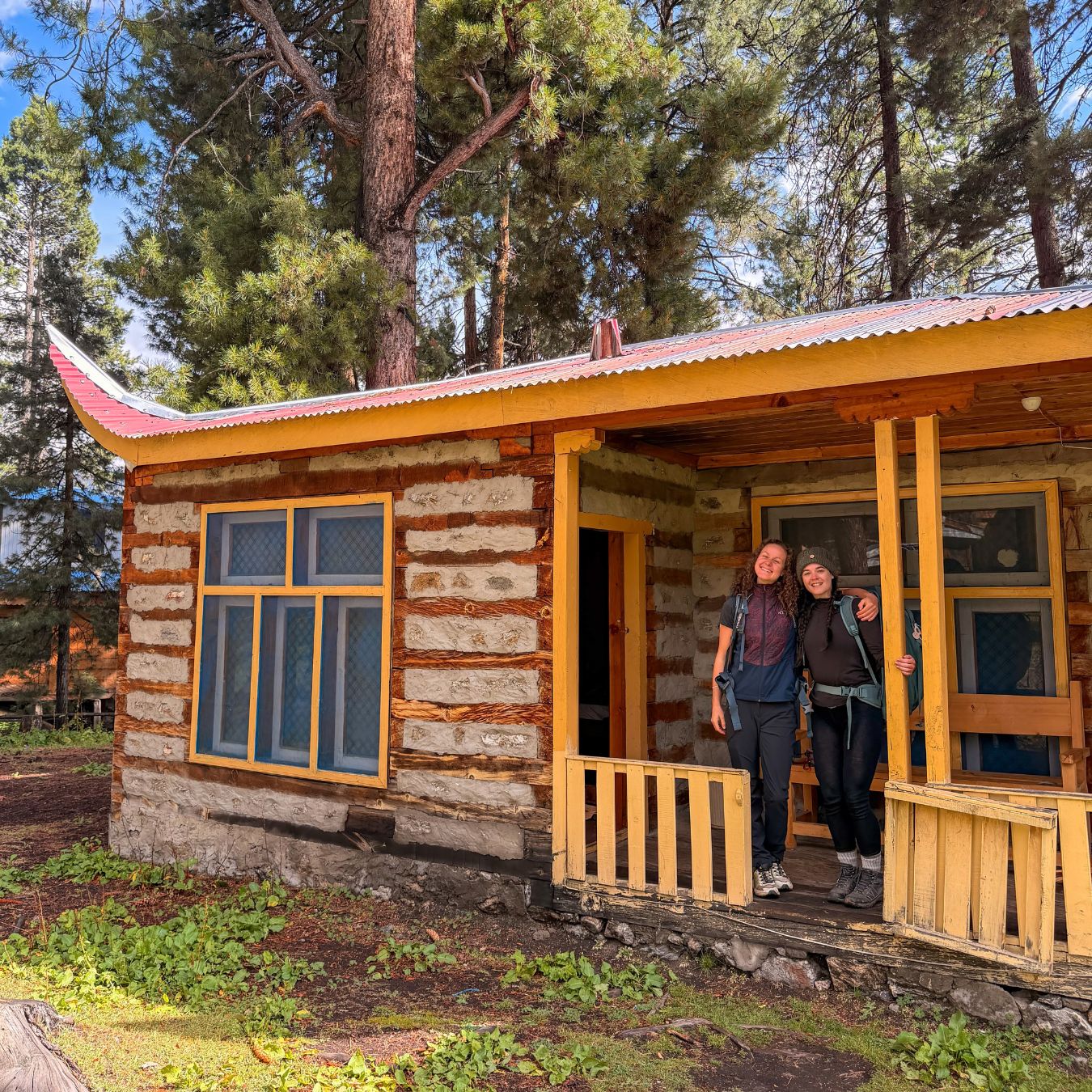 Wooden cabin among the trees at Fairy Meadows, Pakistan