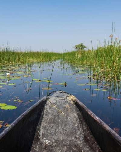 Front of a mokoro canoe gliding through the Okavango Delta, Botswana