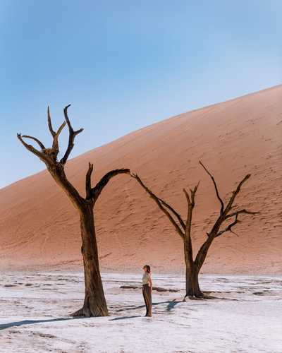 Traveller standing among the dead trees of Deadvlei, Namibia