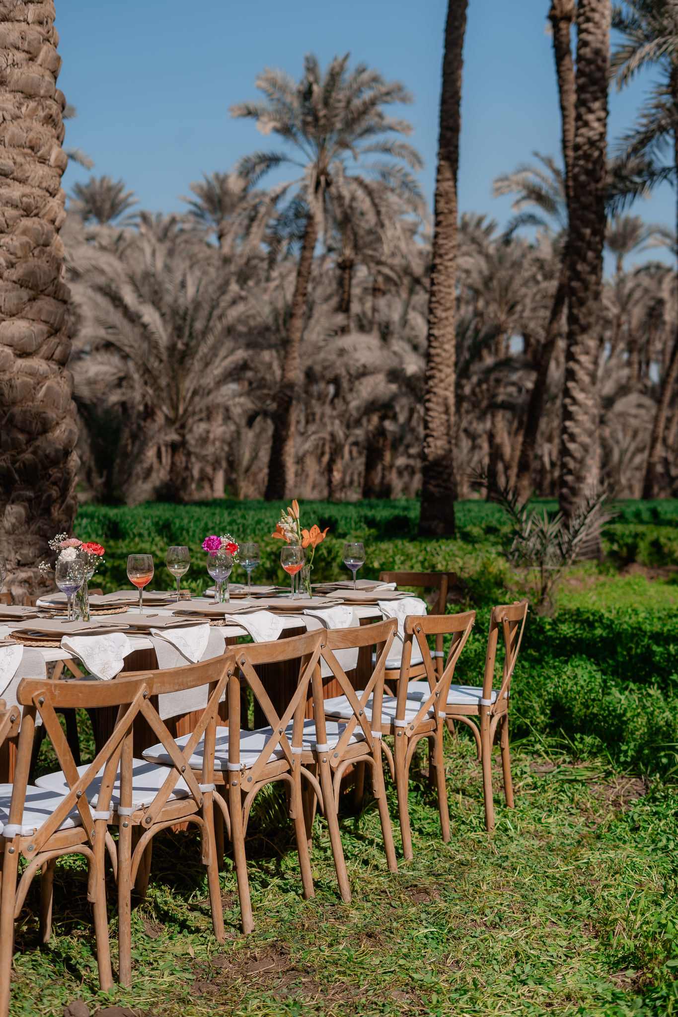 Long lunch table set among date palms in Dahshur, Egypt