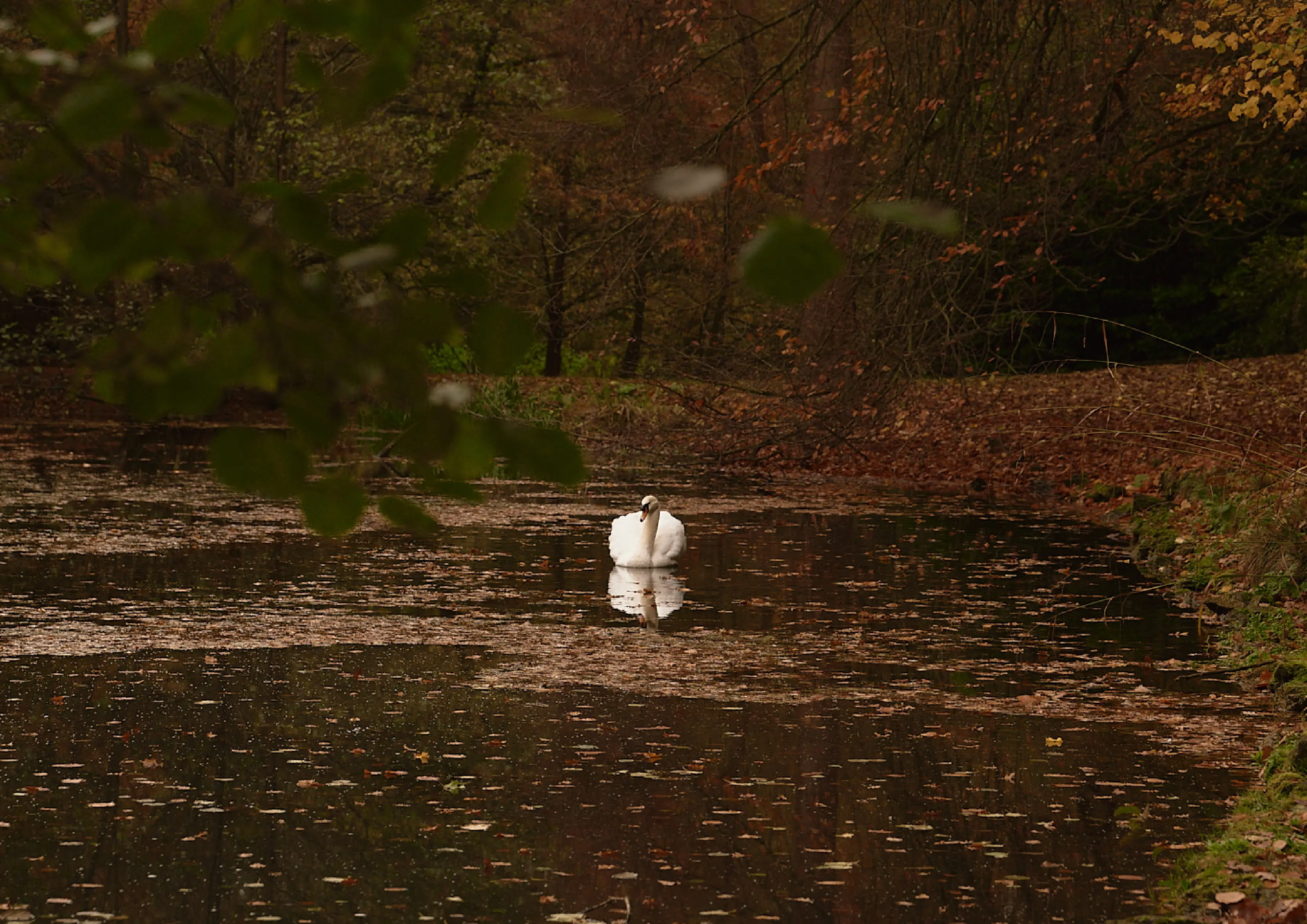 gardens Hotel Cowley Manor United Kingdom