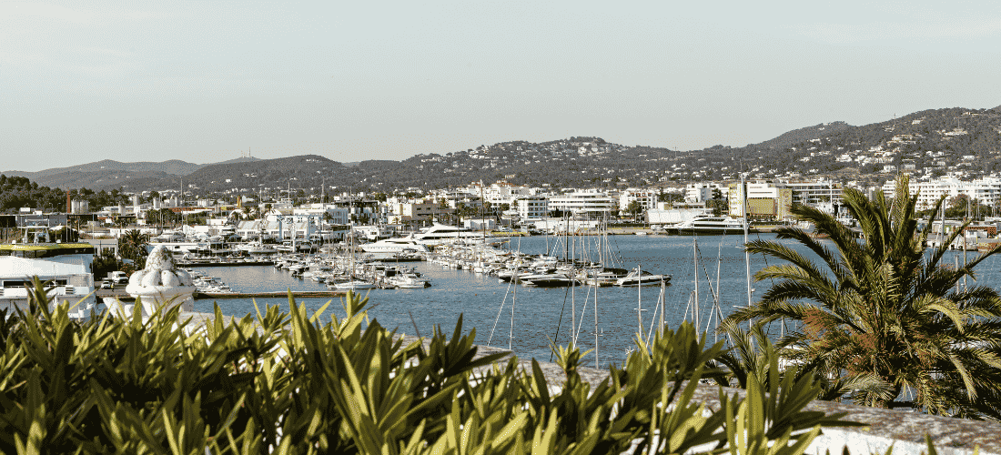 Une vue panoramique sur la marina regorgeant de yachts à Ibiza, aperçue par-dessus les lauriers roses et les palmiers.