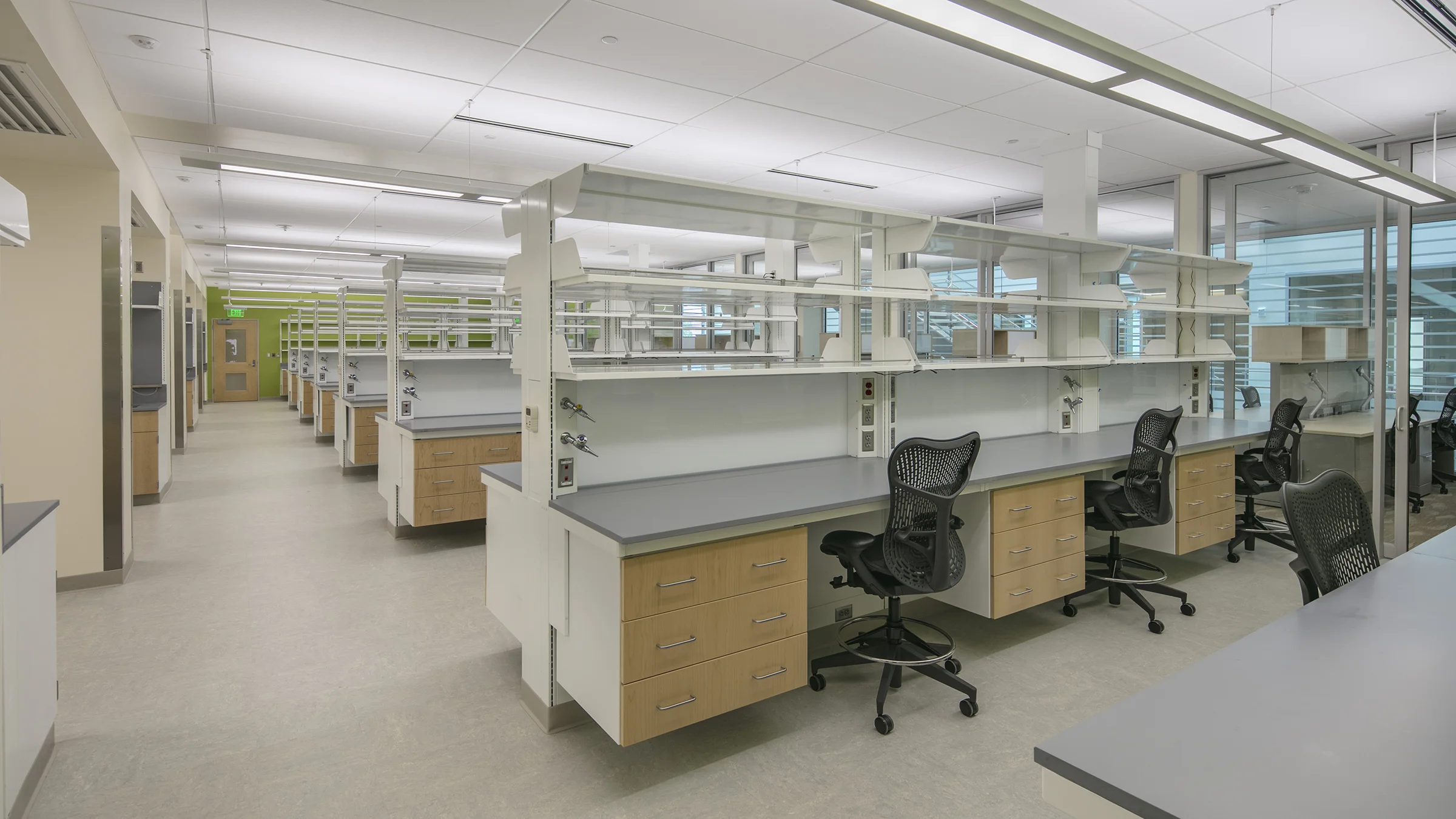 Collaborative lab area with workstations and office chairs in the Michigan State University Grand Rapids Research Center.