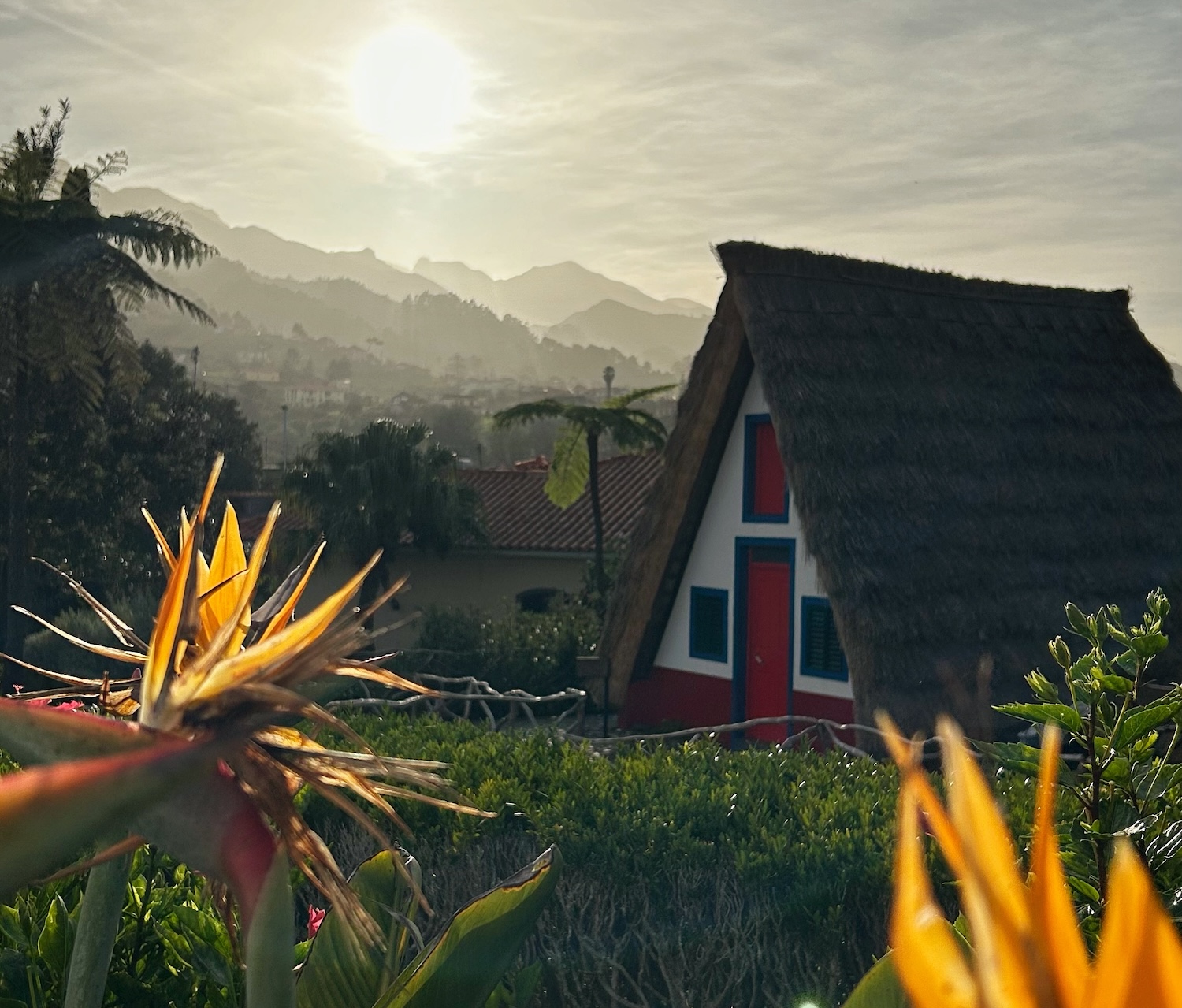 VibeSpirit Travel - Ексклюзивна Оренда Яхт і Групові Тури