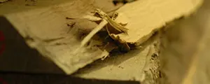 Matériel AZ ski - Az Atelier