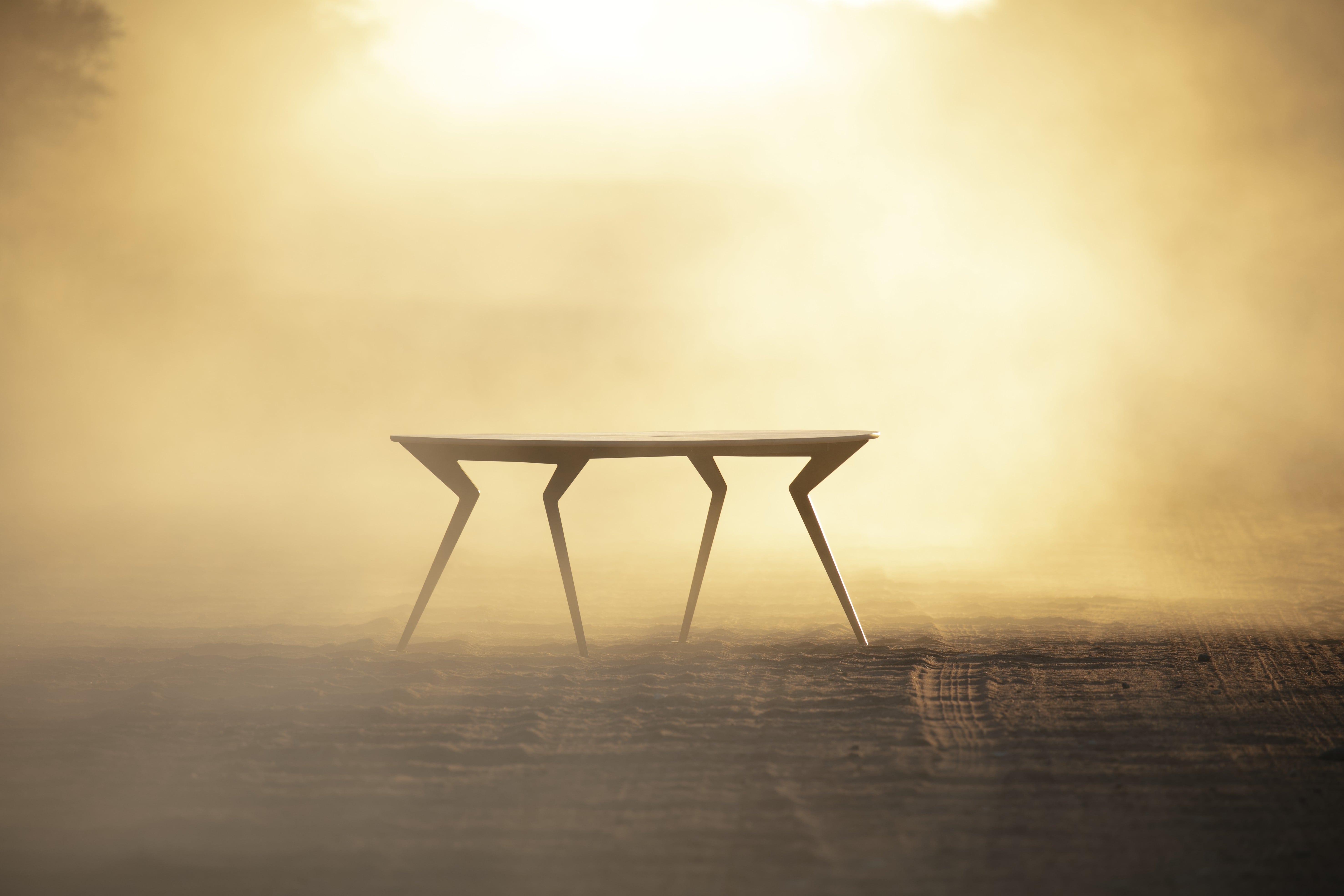 Springbok tafel in de mist/rook