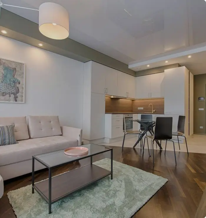 Contemporary living space