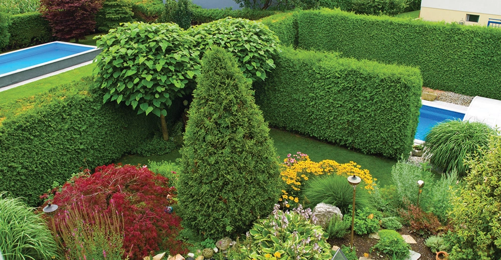 Softscaping