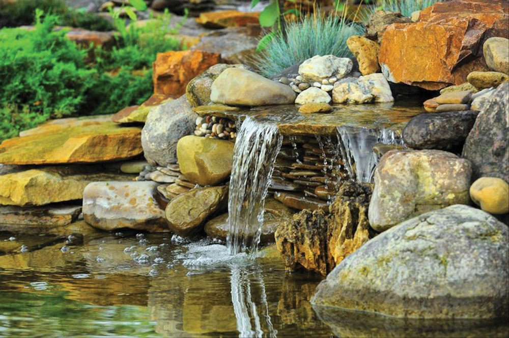 Ponds