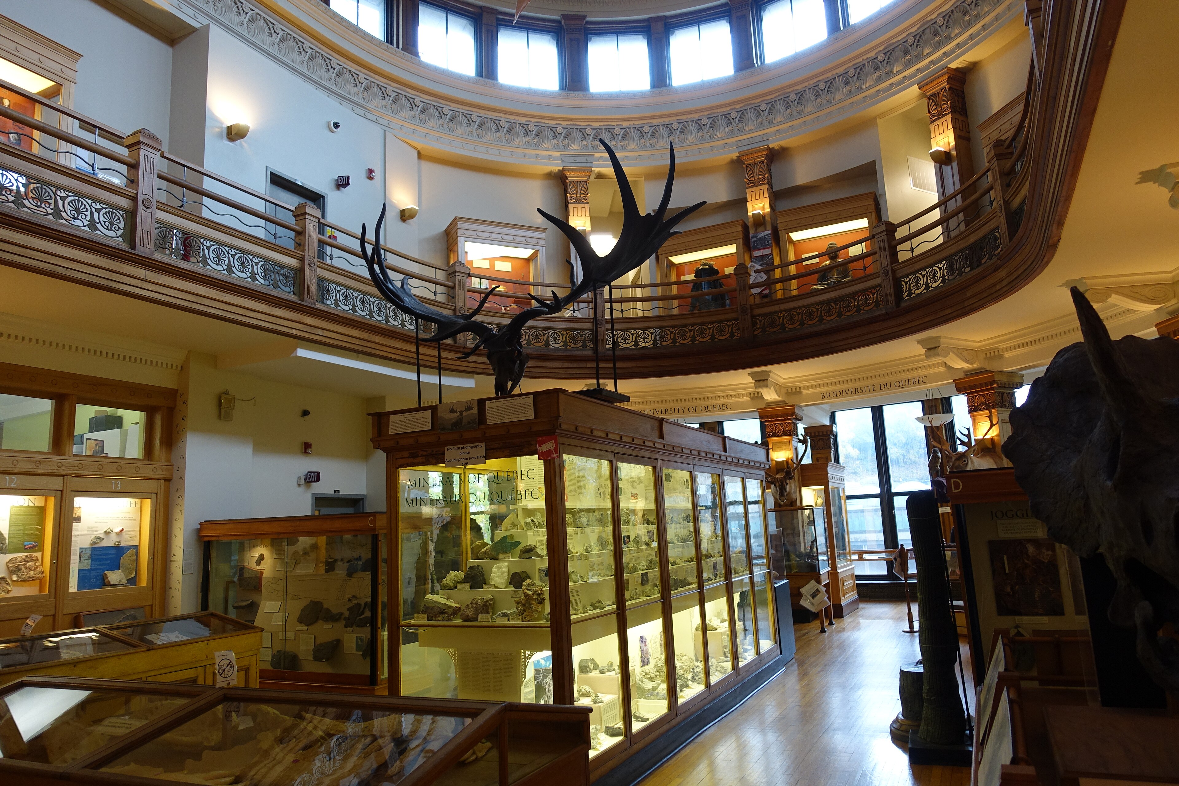 Redpath Museum, McGill University
