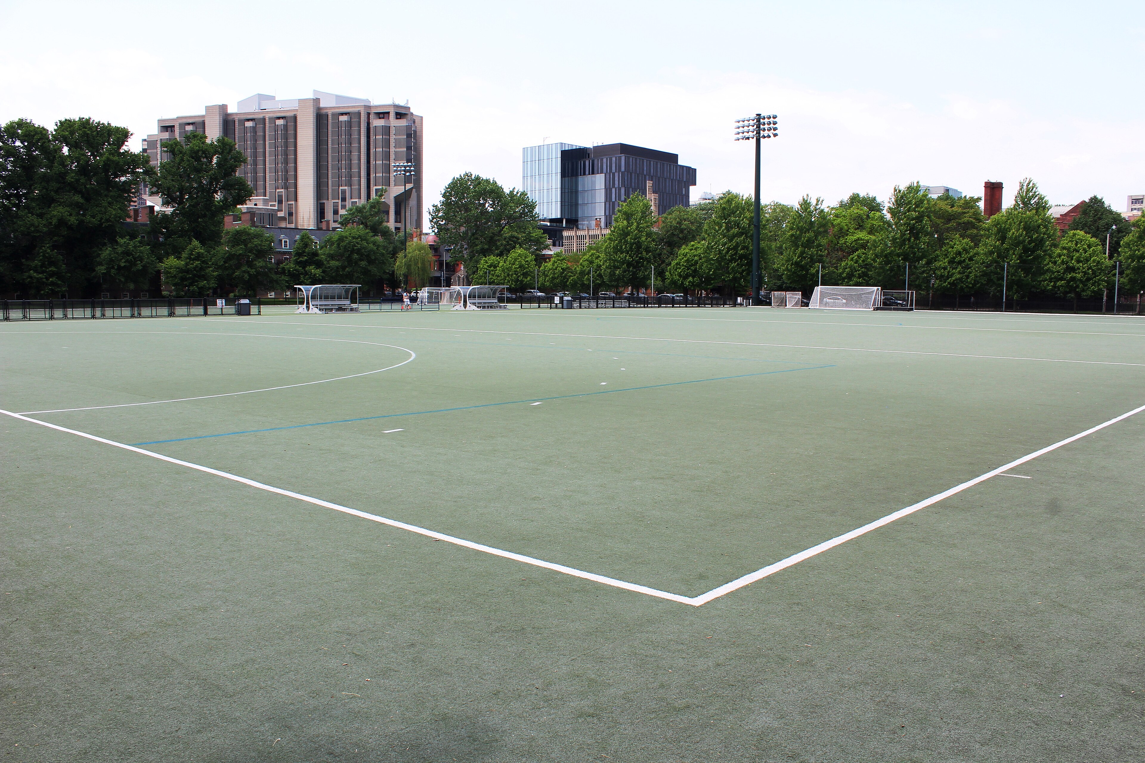 Back Campus Fields, University of Toronto