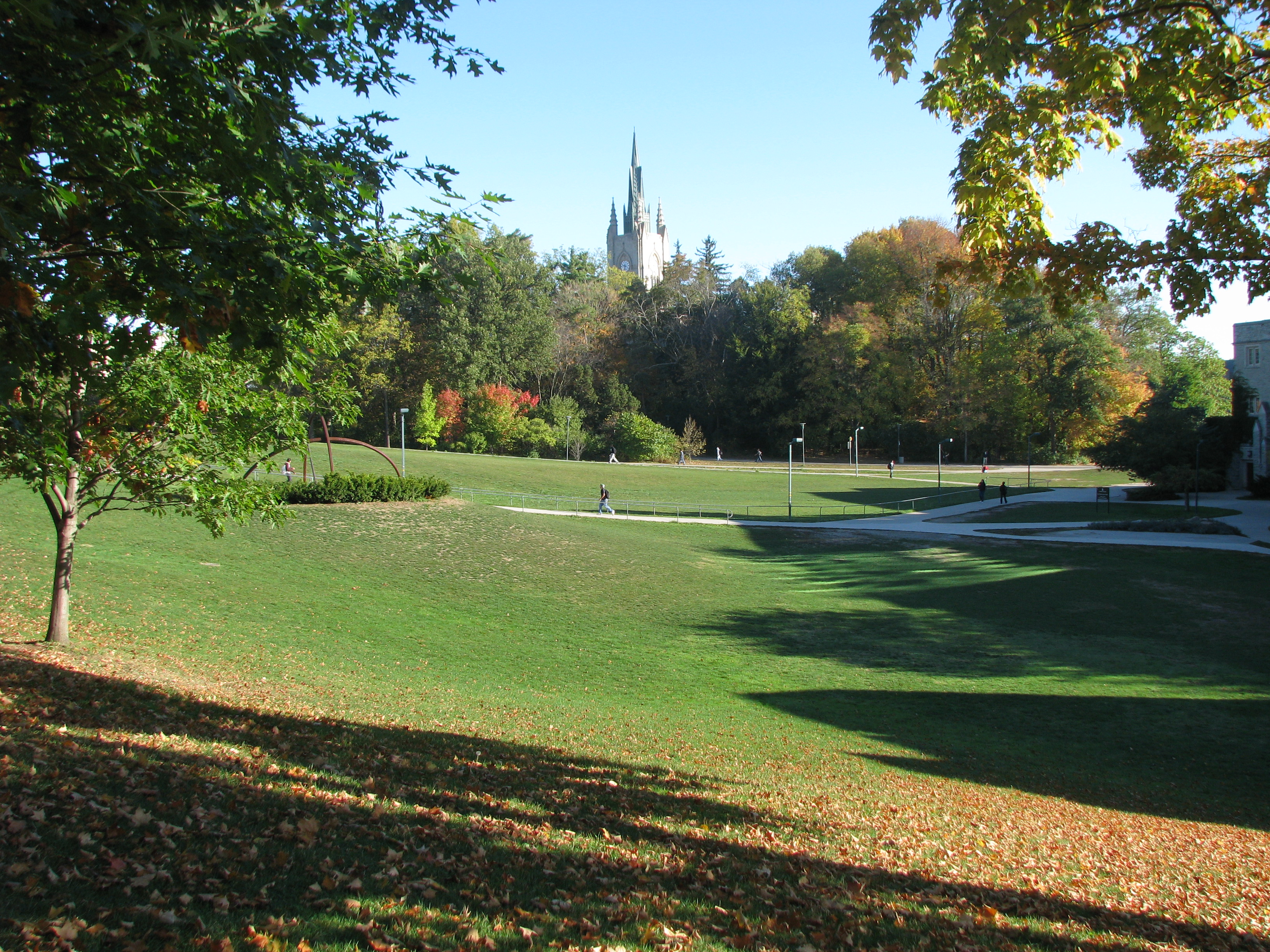 Campus lawn in autumn, Western University