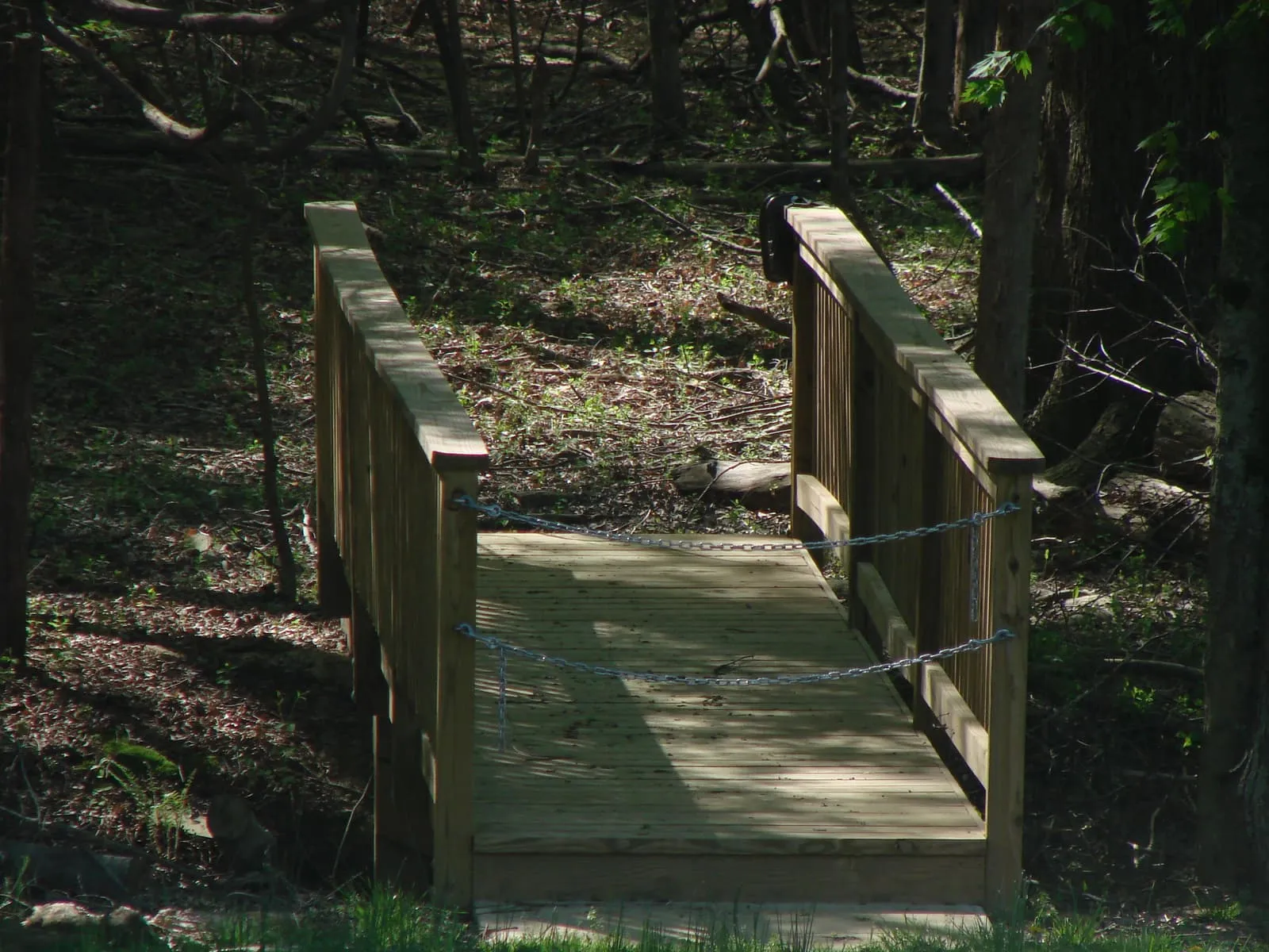 2009 Driveway and Bridge
