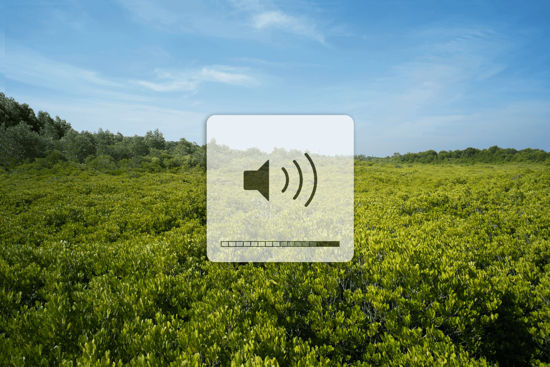 The Calming Effects of Nature Sounds and Tips for Incorporating Them Into Memory Care