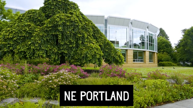 screengrab of a NE Portland neighborhood