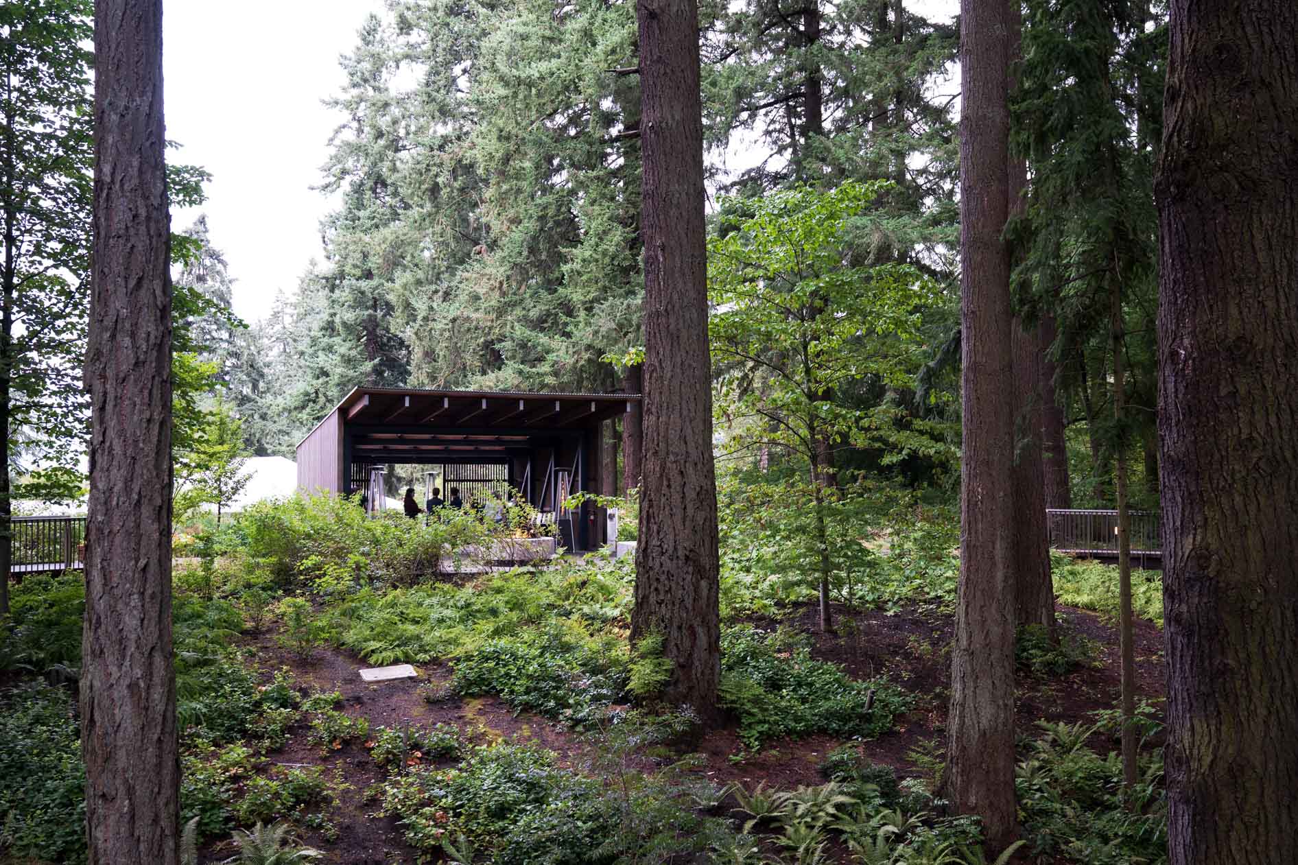 Guests mingling under a modern wooden pavilion, nestled amongst the towering trees and lush greenery of Leach Botanical Garden during the Feast in the Garden event. The scene captures a peaceful moment of community and connection with nature.