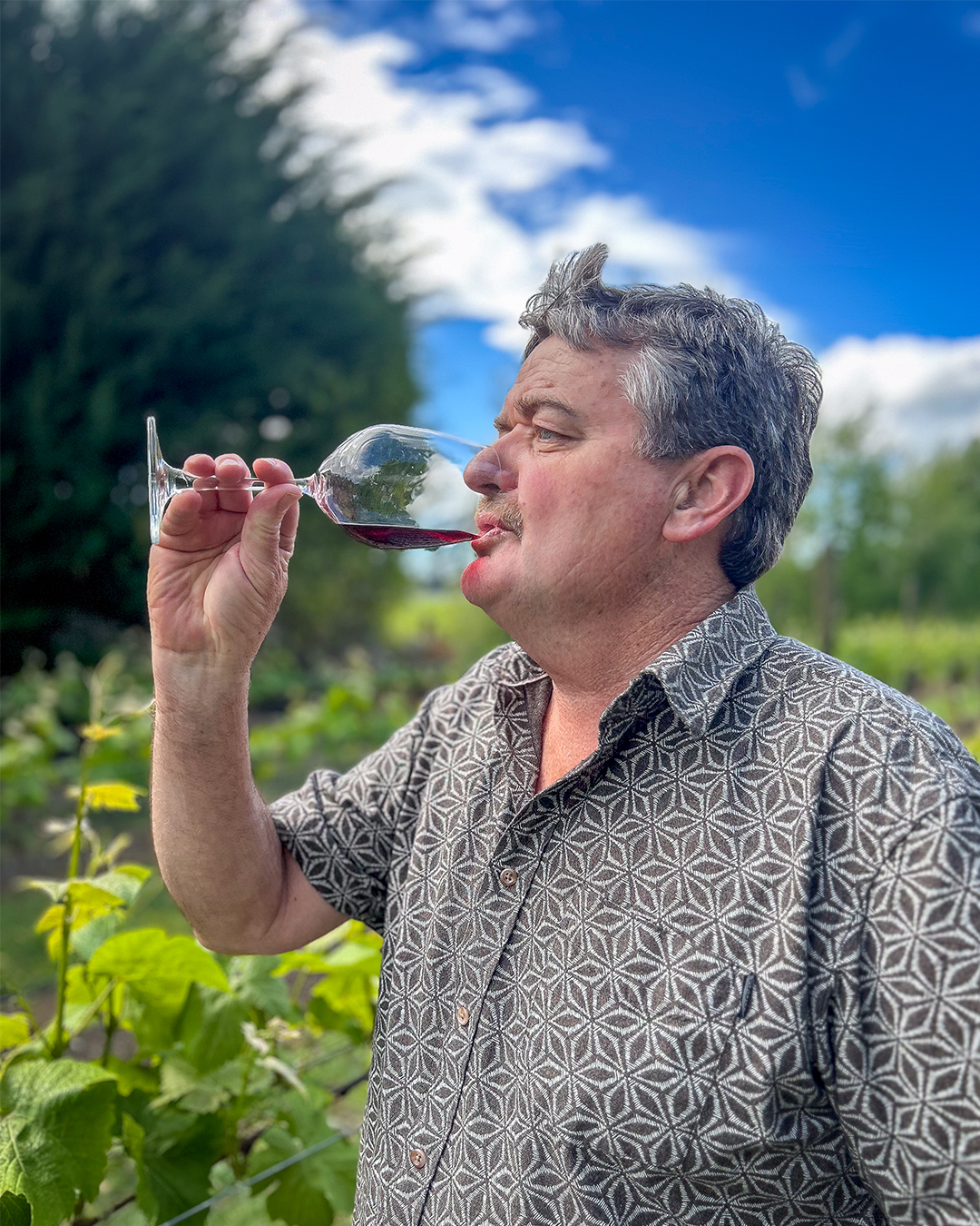 Step Back in Time with Tiwaiwaka Wines at Pour & Explore Martinborough