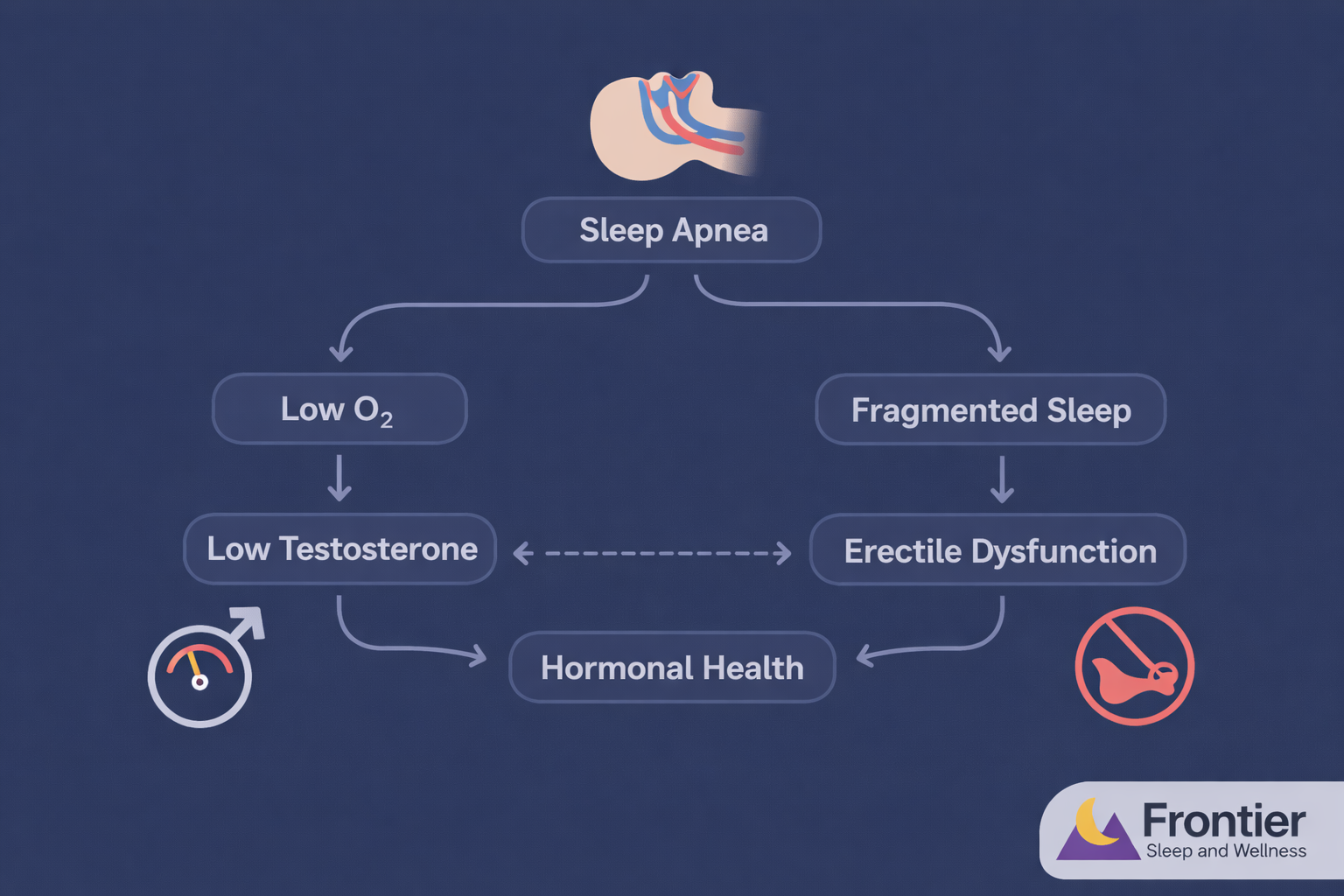 A flowchart illustrates how sleep apnea can lead to health issues, showing pathways from low oxygen levels to low testosterone and from fragmented sleep to erectile dysfunction, both impacting hormonal health. The “Frontier Sleep and Wellness” logo appears in the bottom right corner.