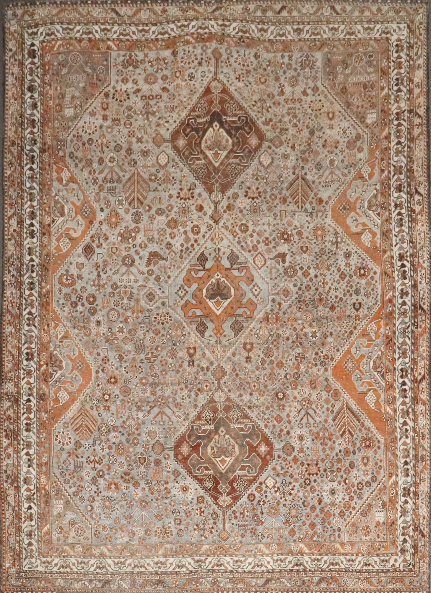 Shiraz 